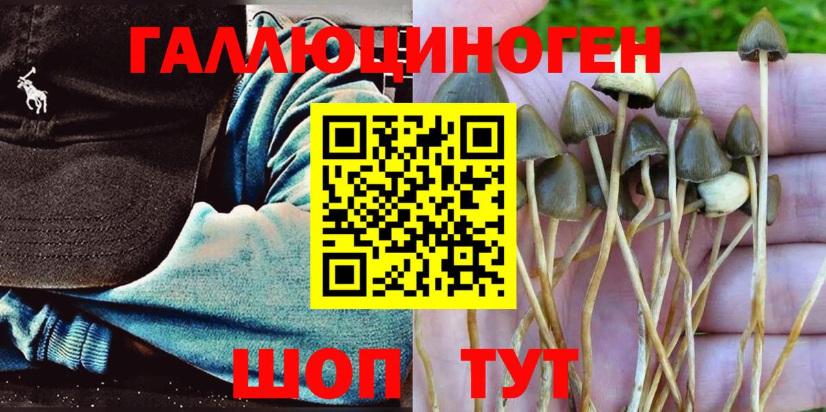 Псилоцибиновые грибы Psilocybe  Галлюциногенные грибы мухоморы  Артёмовский  Вход с VPN 